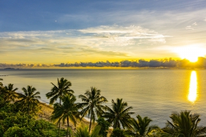 Mission Beach - a tropical rainforest setting by a golden palm fringed beach