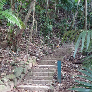 Bicton Hill Walking Track