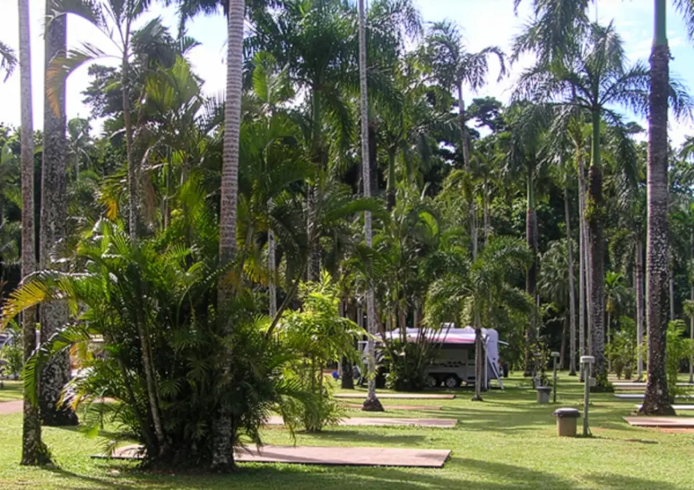 Camp-Sites